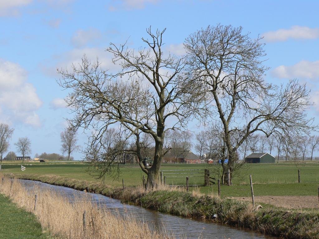 Groningen Buiten B&B Zuidhorn Exteriér fotografie