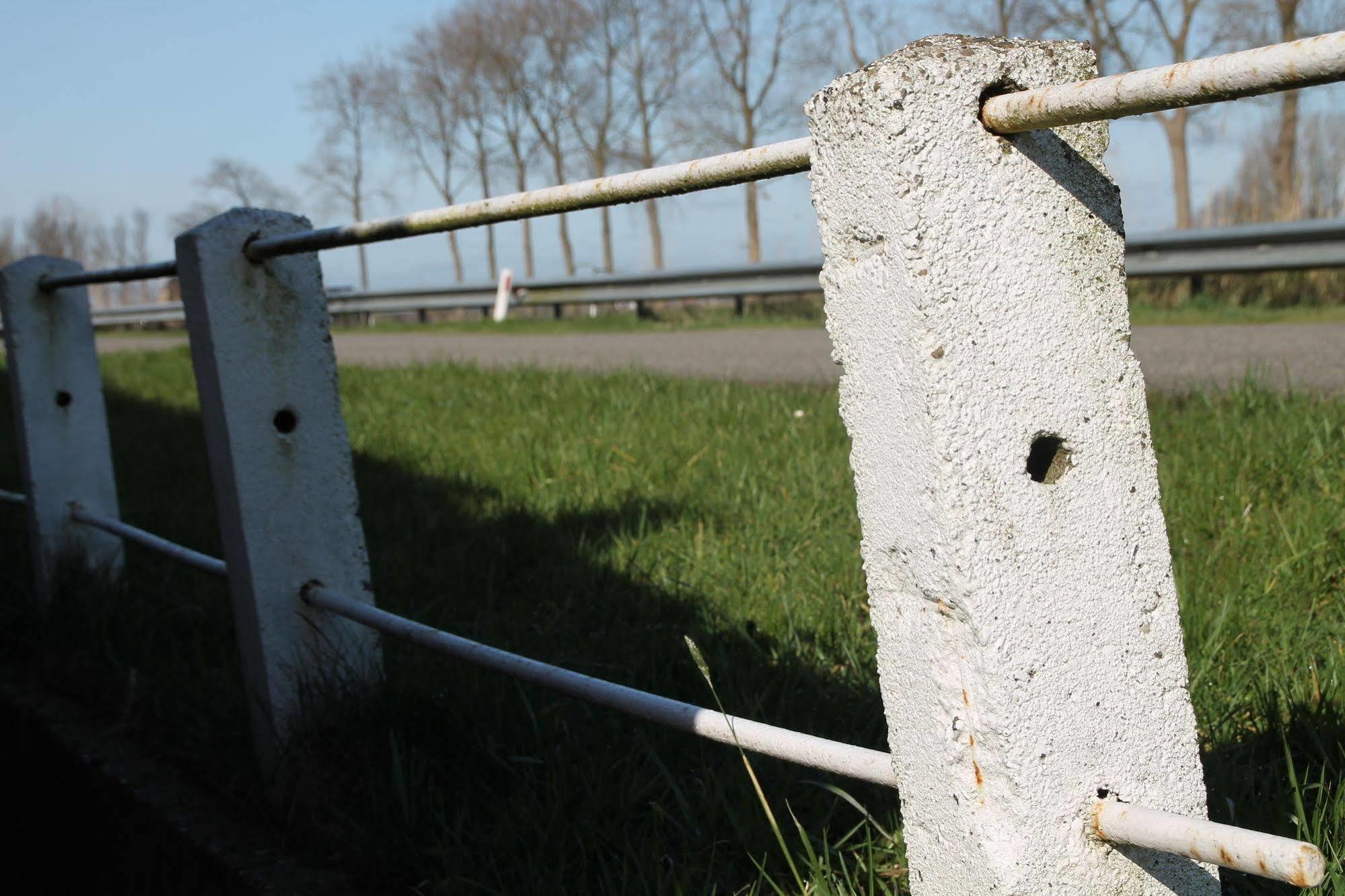 Groningen Buiten B&B Zuidhorn Exteriér fotografie