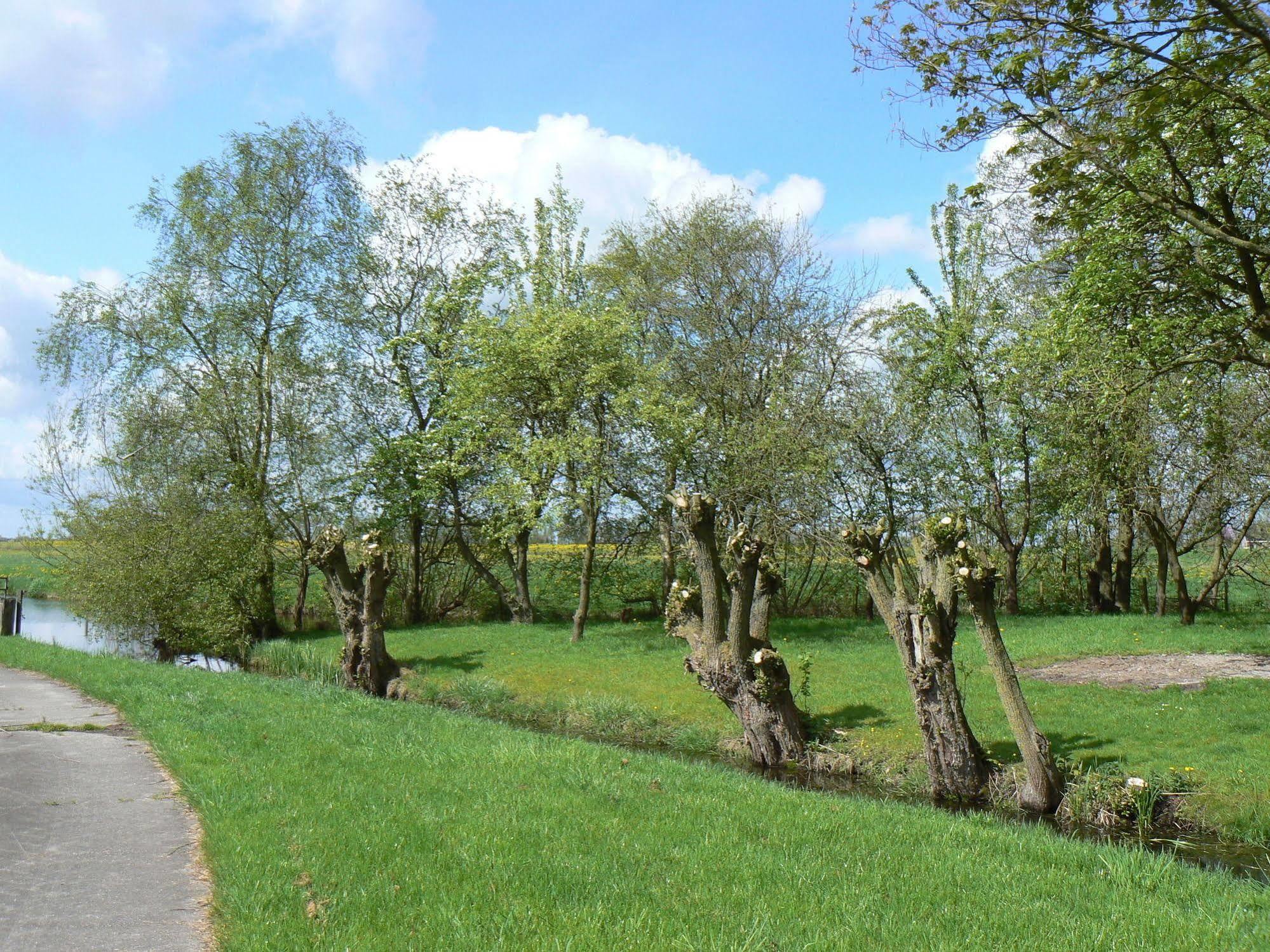 Groningen Buiten B&B Zuidhorn Exteriér fotografie
